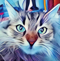 Cat 7 … - Full Coverage of Diamonds - Made to Order