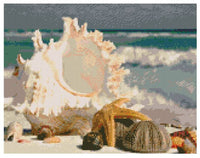 Beach Shell * Made to order … Beach Shell - Full Coverage Of Diamonds