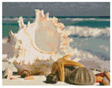 Beach Shell * Made to order … Beach Shell - Full Coverage Of Diamonds