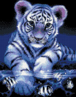 Tiger #11 - * Pre Order (Made to order) … Full Coverage of Diamonds