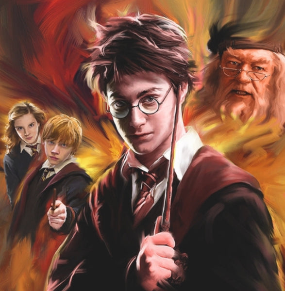 Harry Potter # 12  … - Full Coverage of Diamonds - Special Order