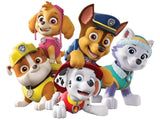 Paw Patrol # 3 - * Made to order …Full Coverage Of Diamonds