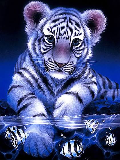 Tiger #11 - * Pre Order (Made to order) … Full Coverage of Diamonds