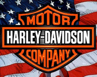 Harley # 2 - Pre Order (Made to order) … Full Coverage Of Diamonds