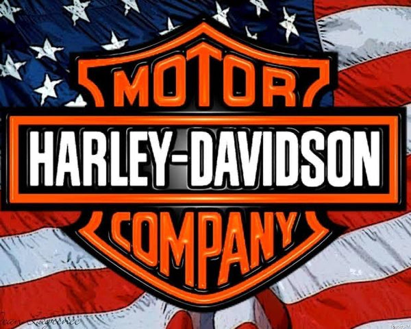 Harley # 2 - Pre Order (Made to order) … Full Coverage Of Diamonds