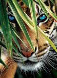 Tiger # 12 - … made to order .. Full Coverage Of Diamonds