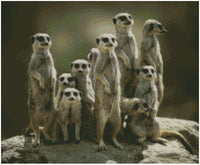 Meerkat Family # 3 - Pre Order (Made to order) … Full Coverage Of Diamonds